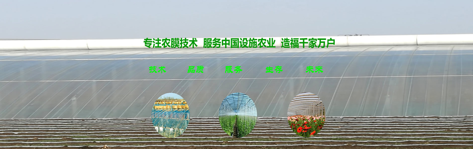 首頁幻燈2