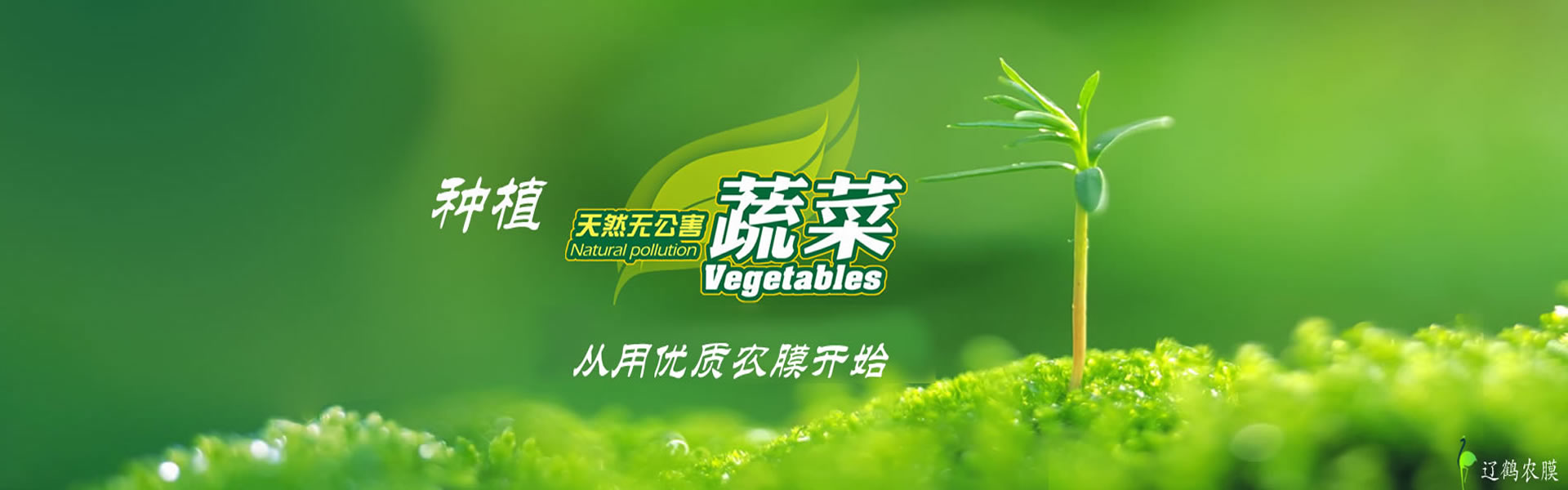 首頁幻燈1